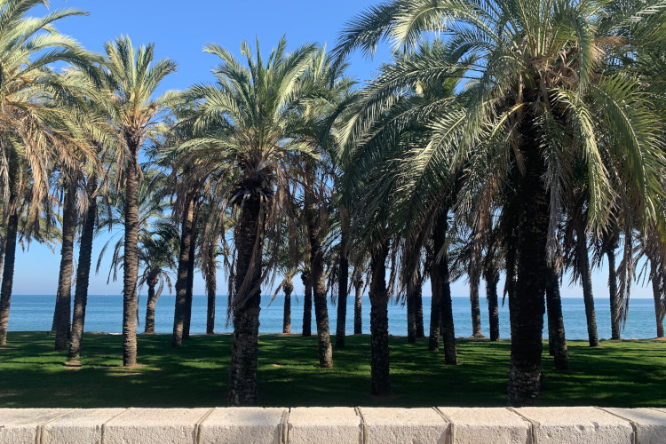 The beach at playamar, 15 min walk away