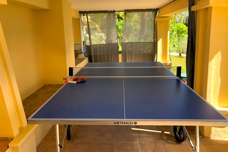 Ping-pong table at your disposal
