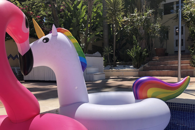 Unicorns often 'pop-up' at Villa Panorama!